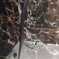 Фото покупателя