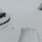 Фото покупателя