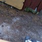 Фото покупателя