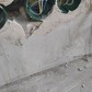 Фото покупателя