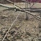 Фото покупателя