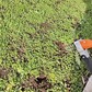 Фото покупателя