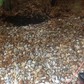 Фото покупателя