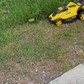 Фото покупателя