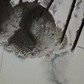 Фото покупателя