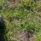 Фото покупателя