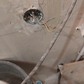 Фото покупателя