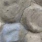 Фото покупателя