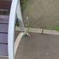 Фото покупателя