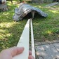 Фото покупателя