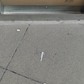 Фото покупателя