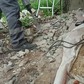 Фото покупателя