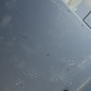 Фото покупателя