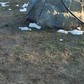 Фото покупателя