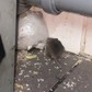Фото покупателя