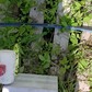 Фото покупателя