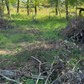 Фото покупателя